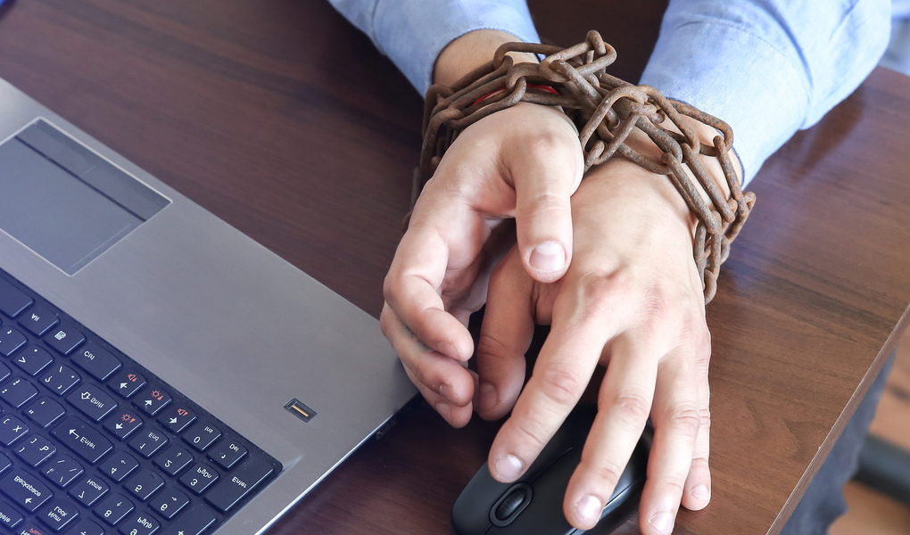 Internet Sex Crimes