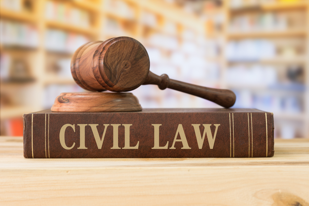 Civil Liberties Civil Liberties