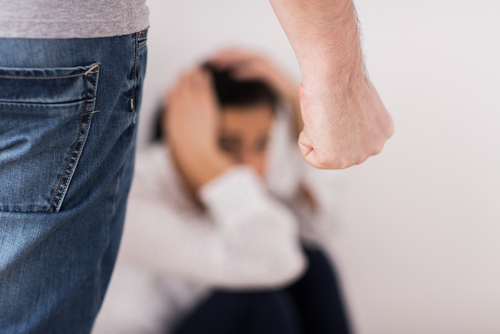 Domestic Violence Domestic Violence